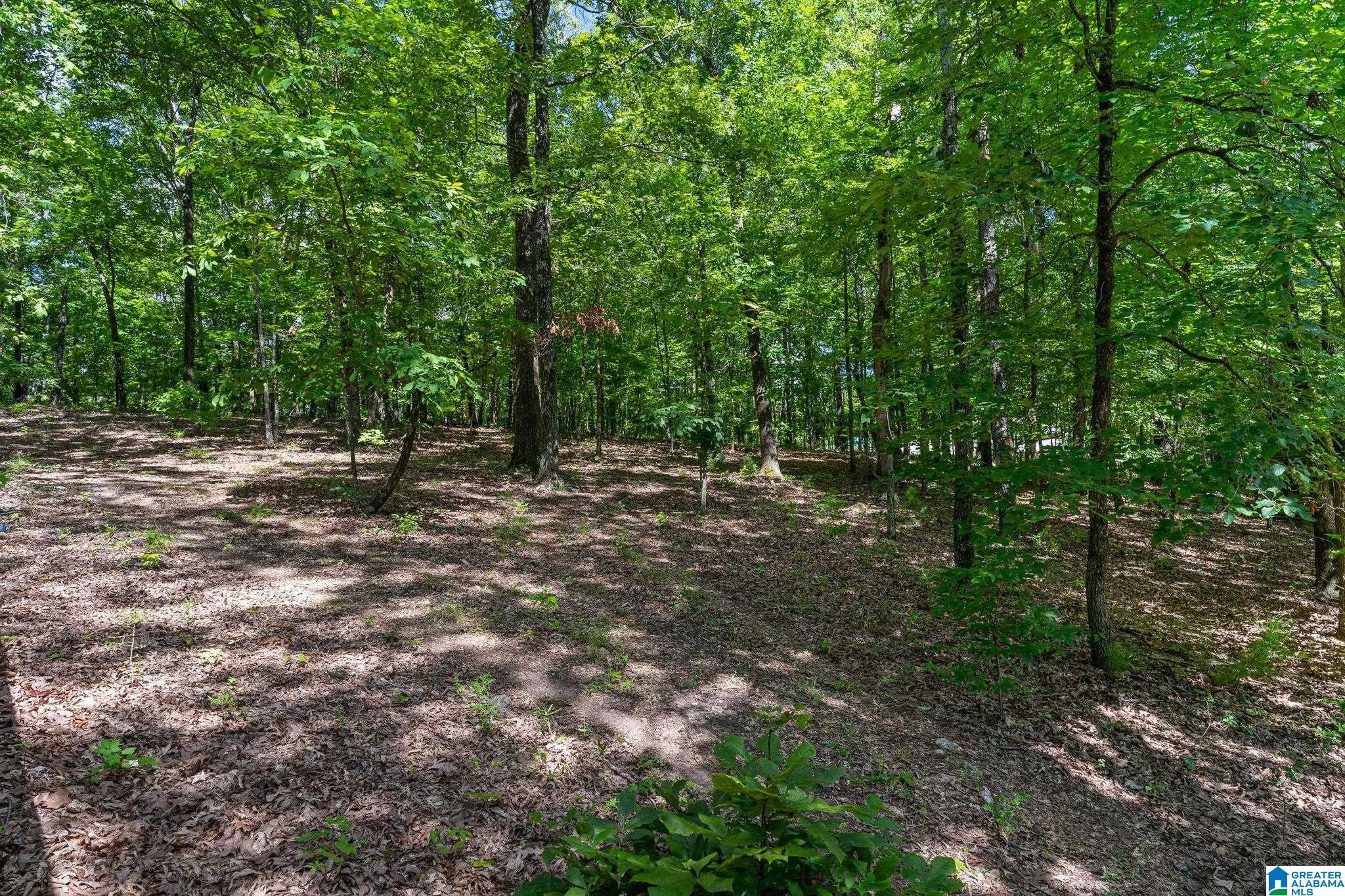 116 Chestnut Drive Alabaster, AL 35007 - Photo 48 of 57 Gallery Image 48