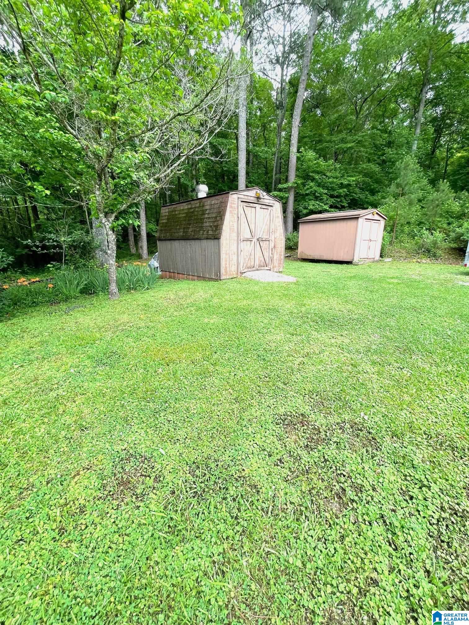 5827 Highway 431 Heflin, AL 36264 - Photo 6 of 21