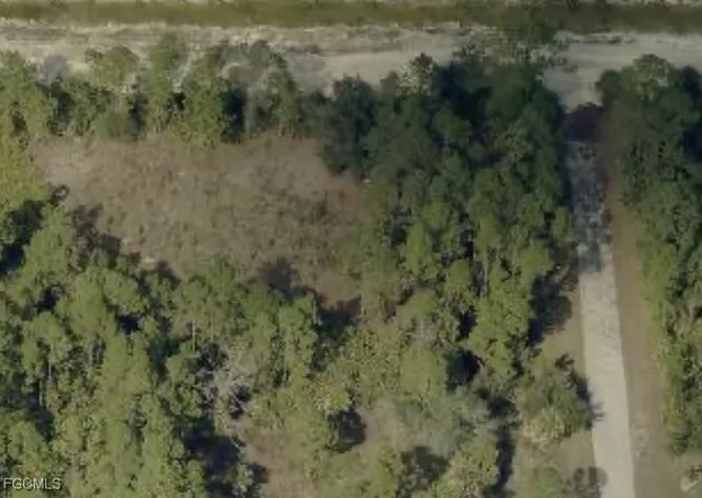 a view of a forest with a lake