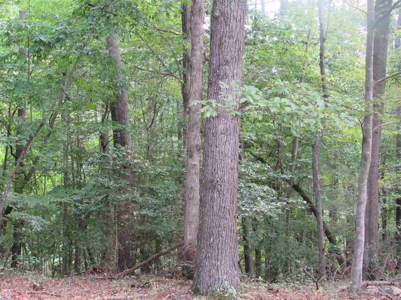 13624 New Light Road Raleigh, NC 27614 - Photo 11 of 12 Photo 11