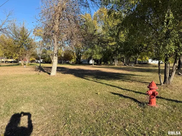 $17,500 | 503 Edwards Street, Oquawka, IL 61469