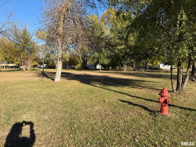 $17,500 | 503 Edwards Street, Oquawka, IL 61469