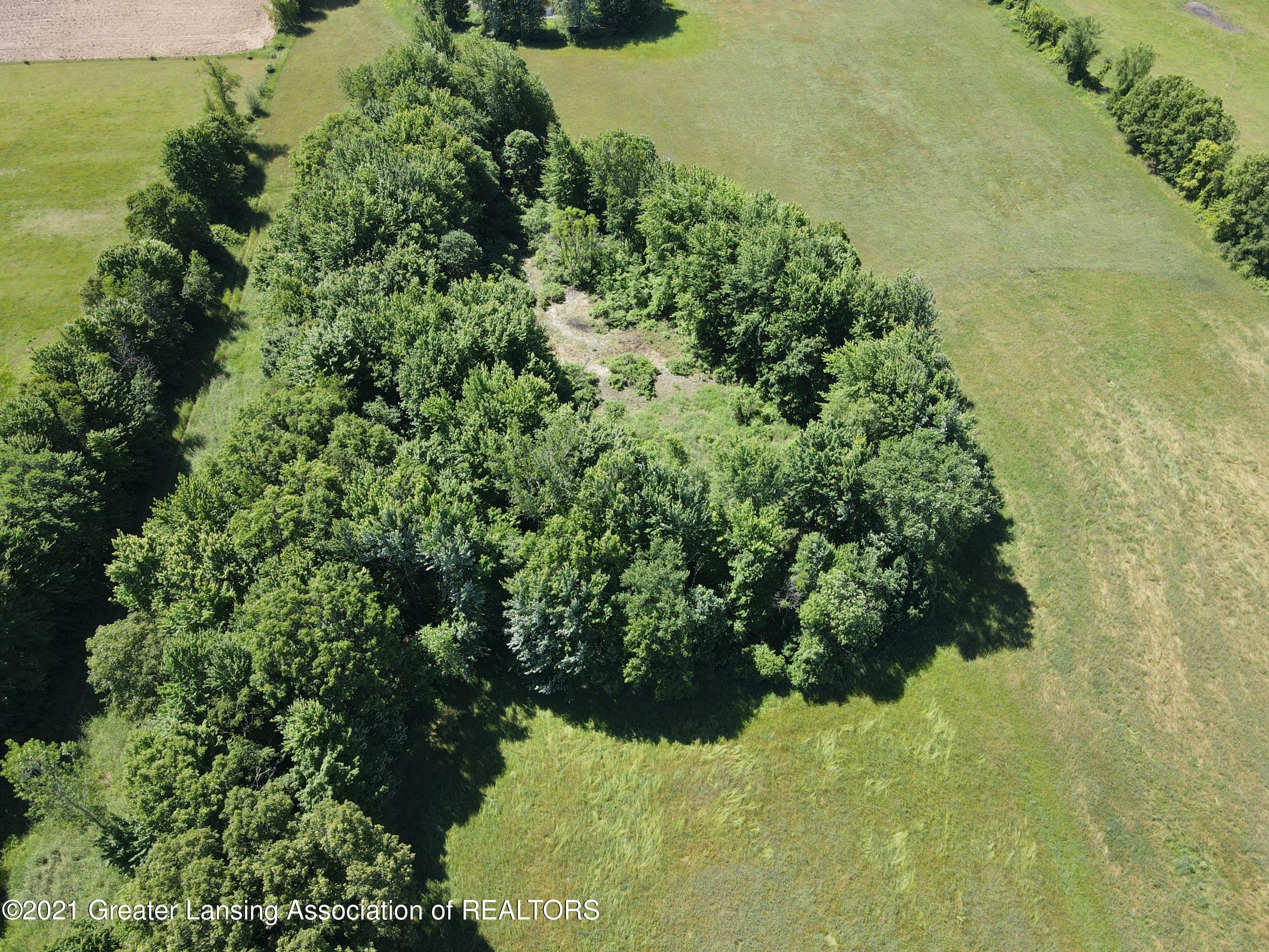 0 O'brien Stockbridge, MI 49285 - Photo 10 of 12 10