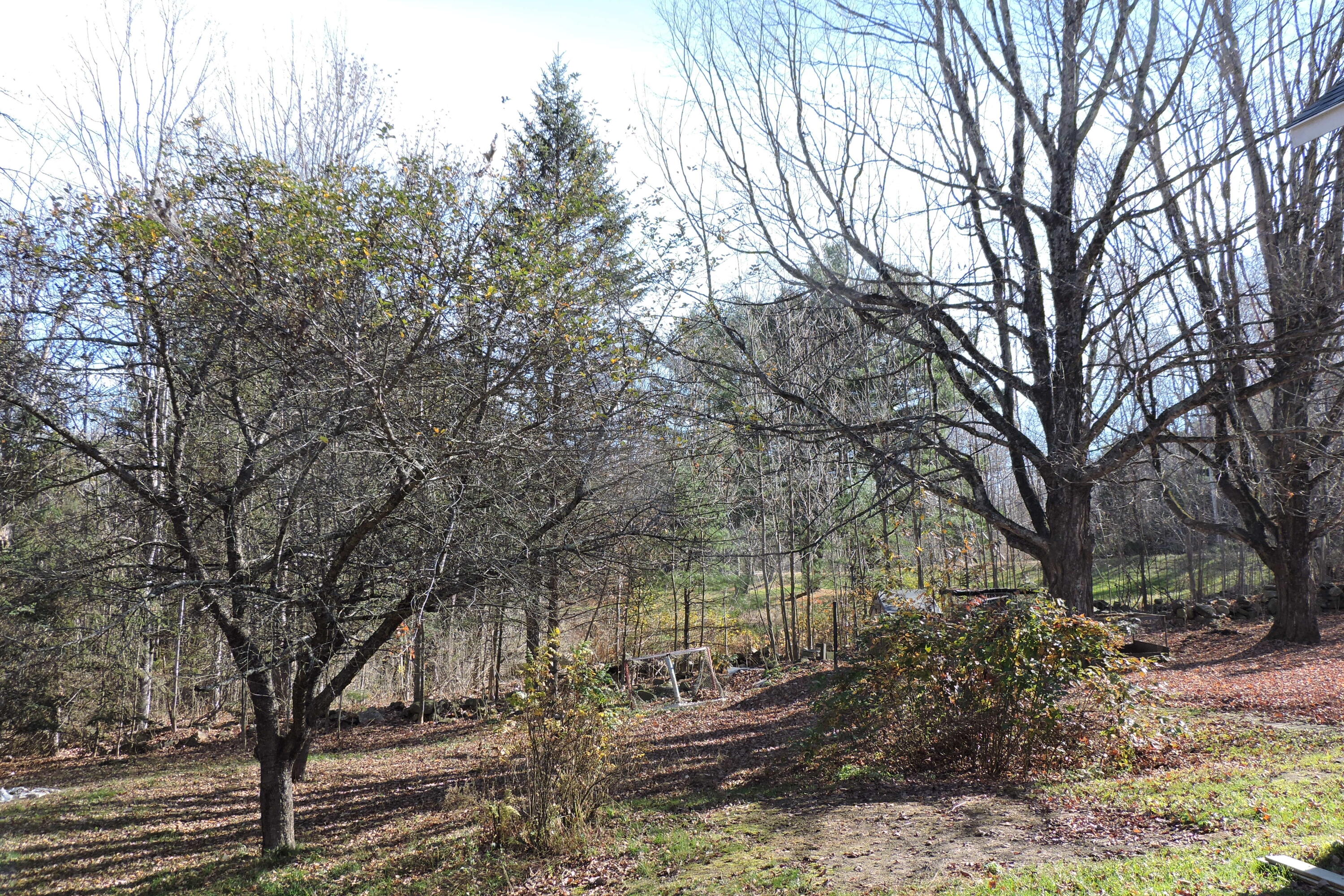 564 Whitefield Road Pittston, ME 04345 - Photo 27 of 28 DSCN4467