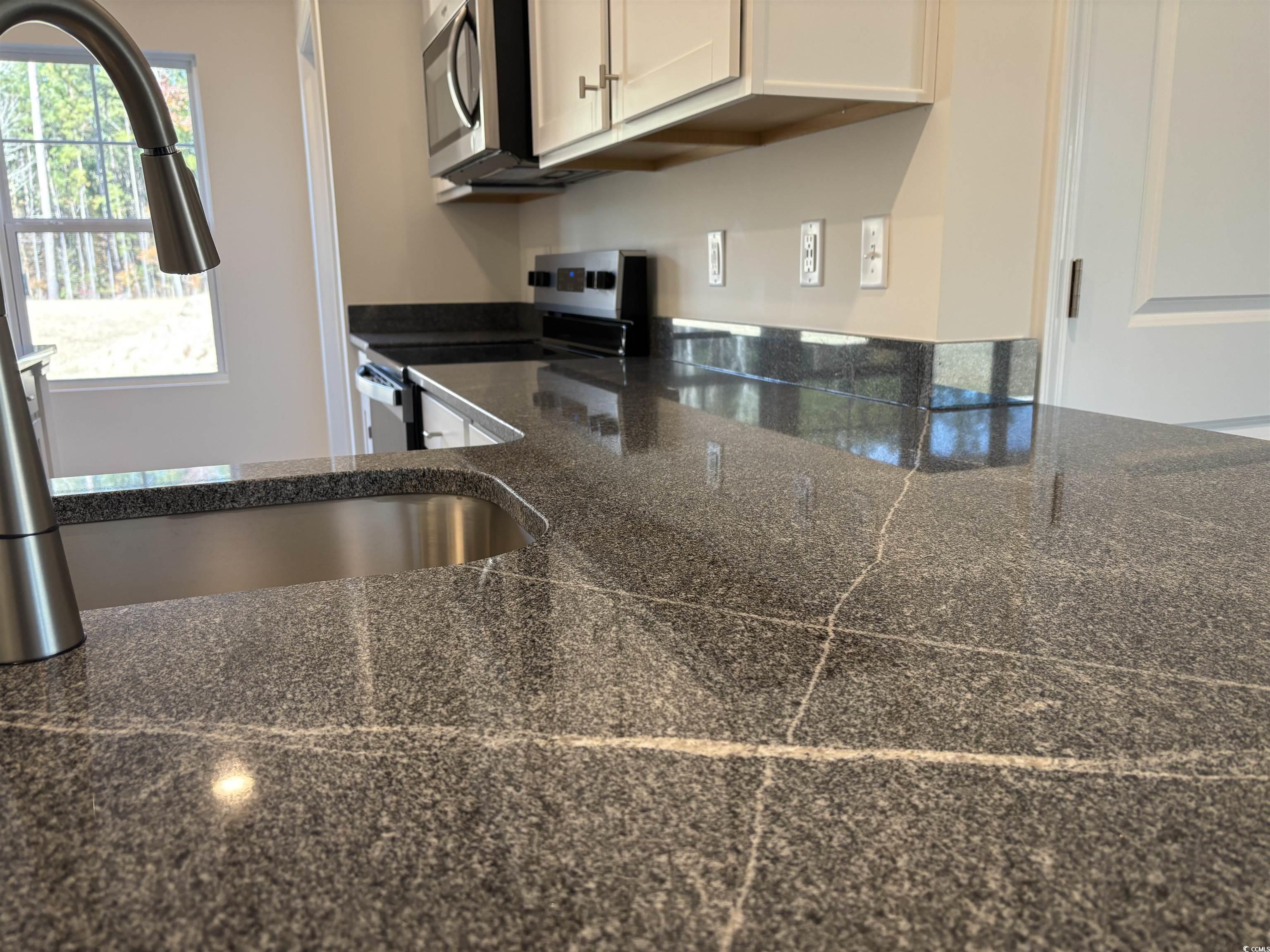 216 Palmetto Sand Loop Conway, SC 29527 - Photo 13 of 38 Kitchen with sink, stainless steel appliances, dar