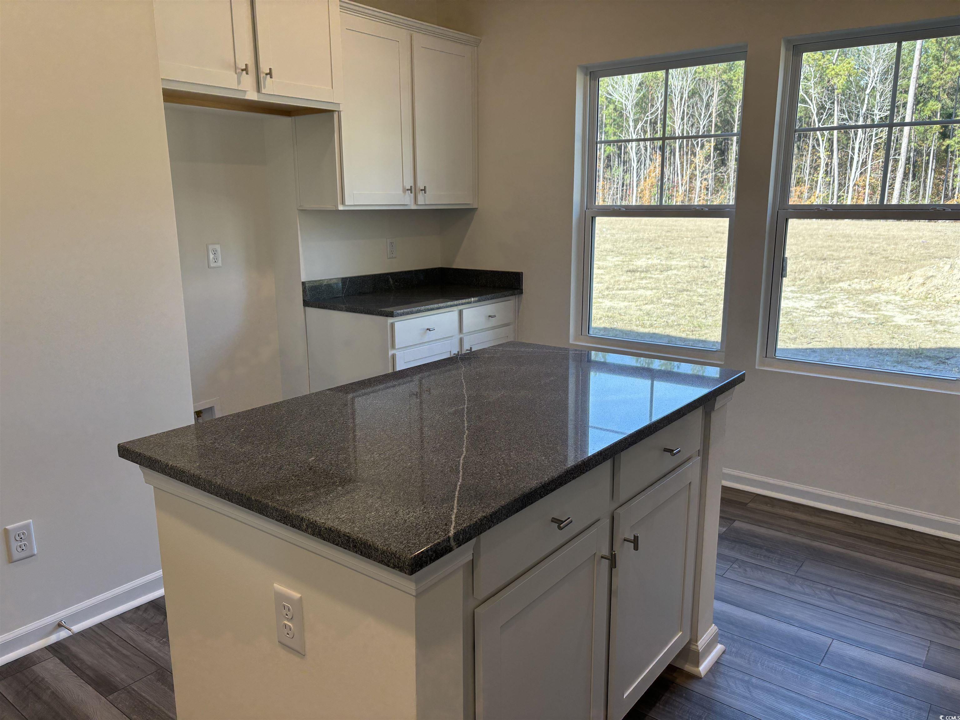 216 Palmetto Sand Loop Conway, SC 29527 - Photo 15 of 38 Interior details featuring hardwood / wood-style f