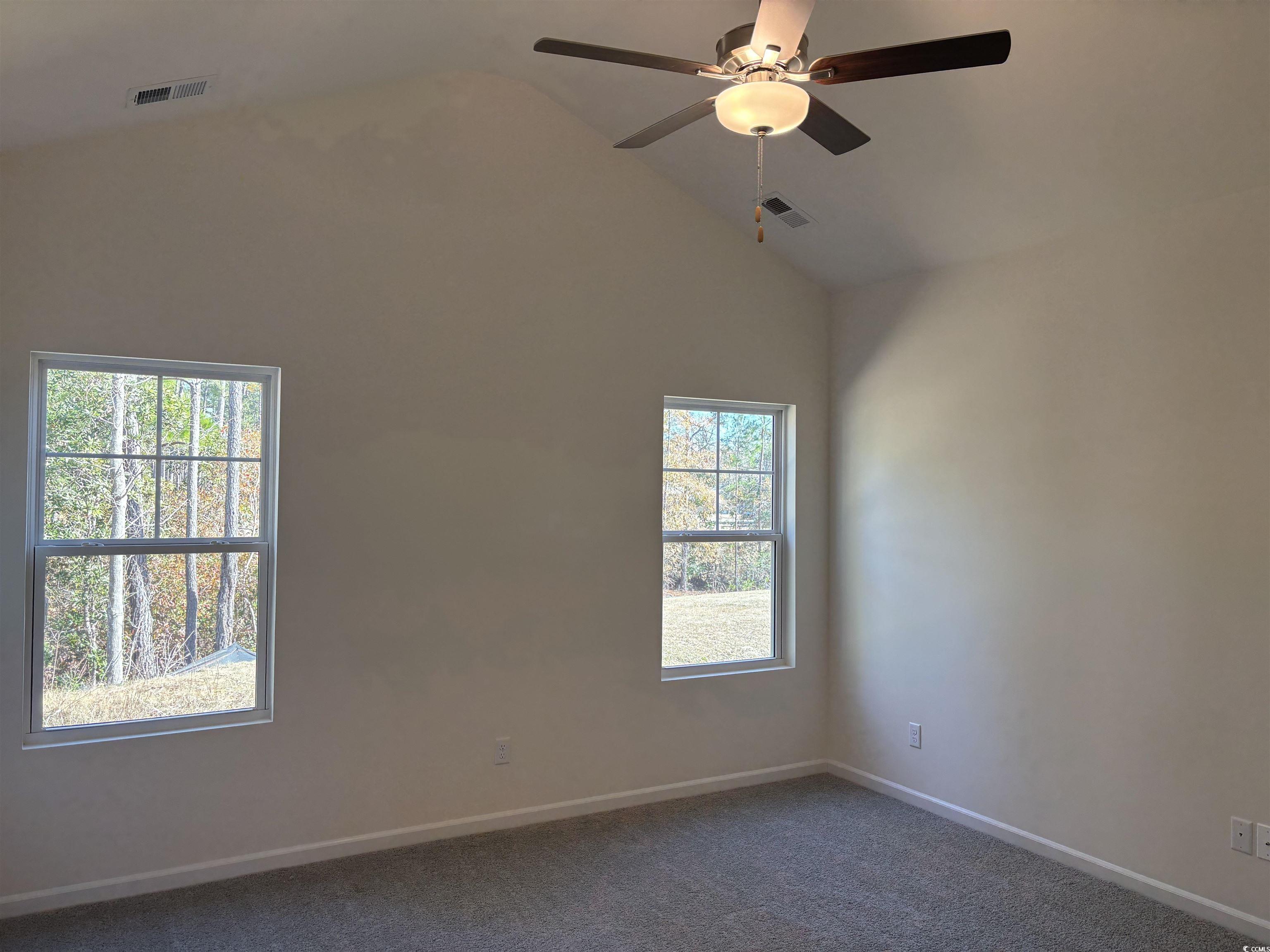 216 Palmetto Sand Loop Conway, SC 29527 - Photo 19 of 38