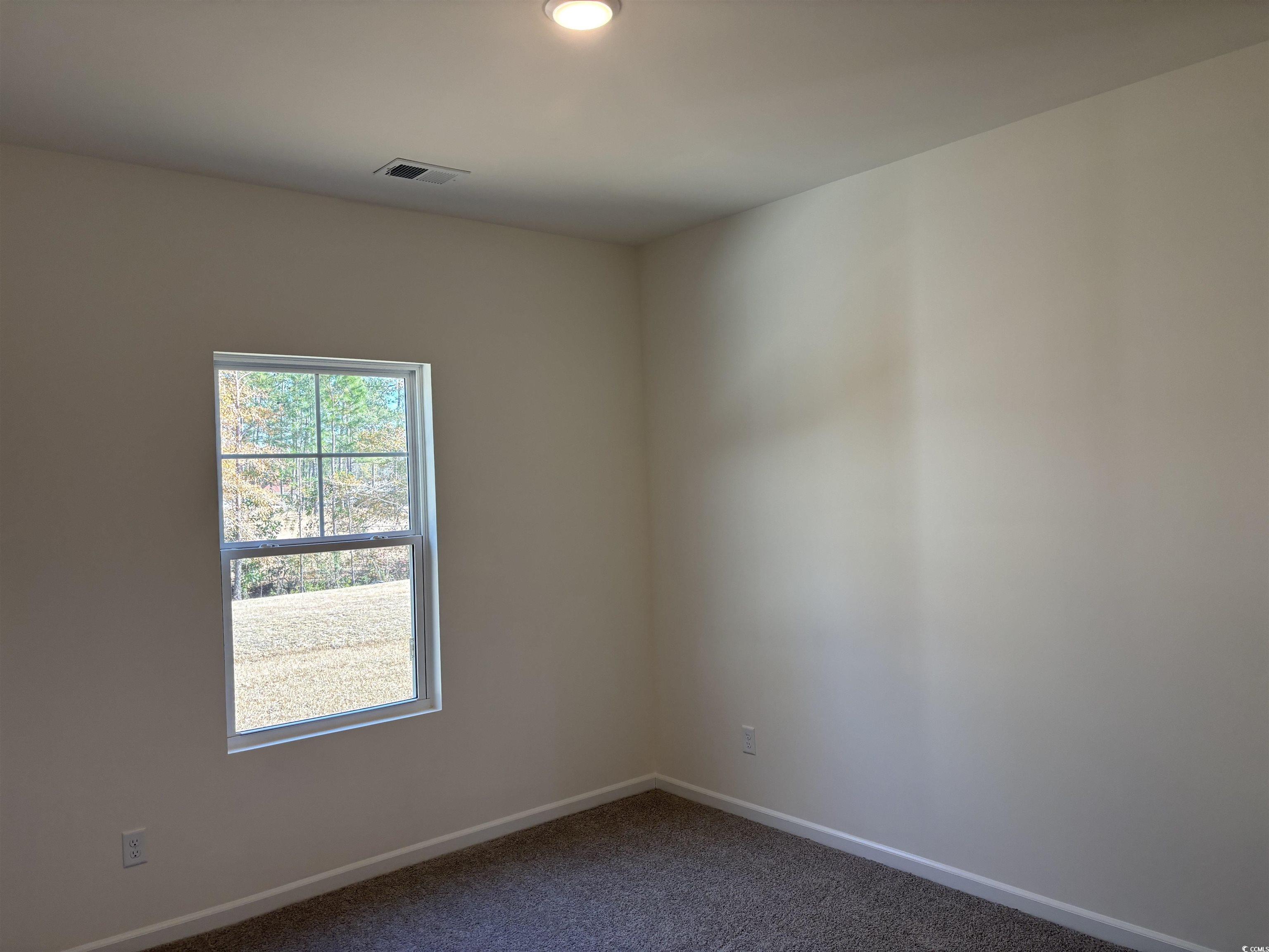 216 Palmetto Sand Loop Conway, SC 29527 - Photo 25 of 38