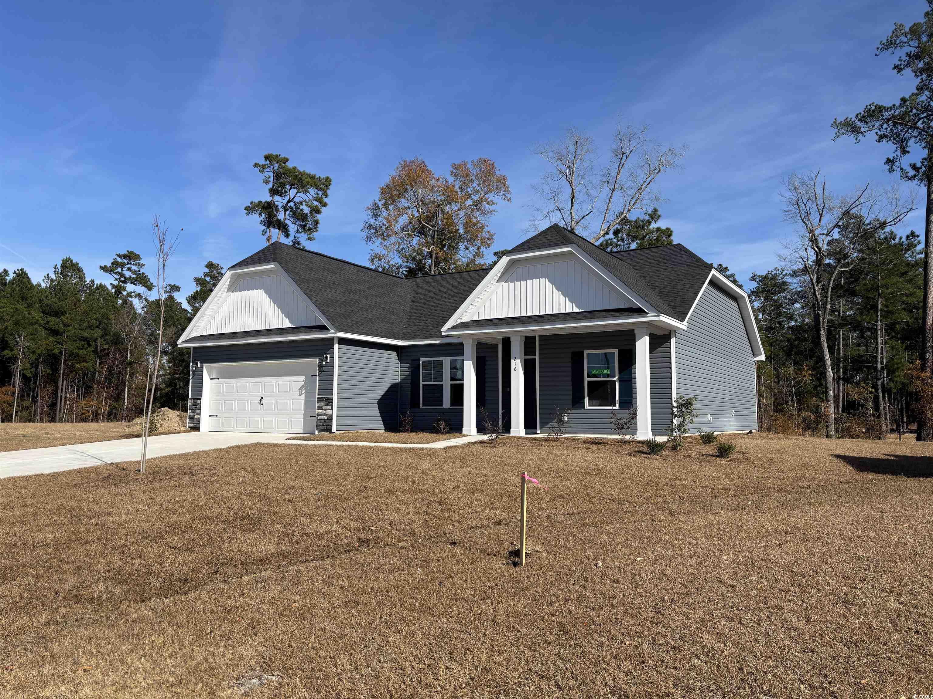 216 Palmetto Sand Loop Conway, SC 29527 - Photo 2 of 38
