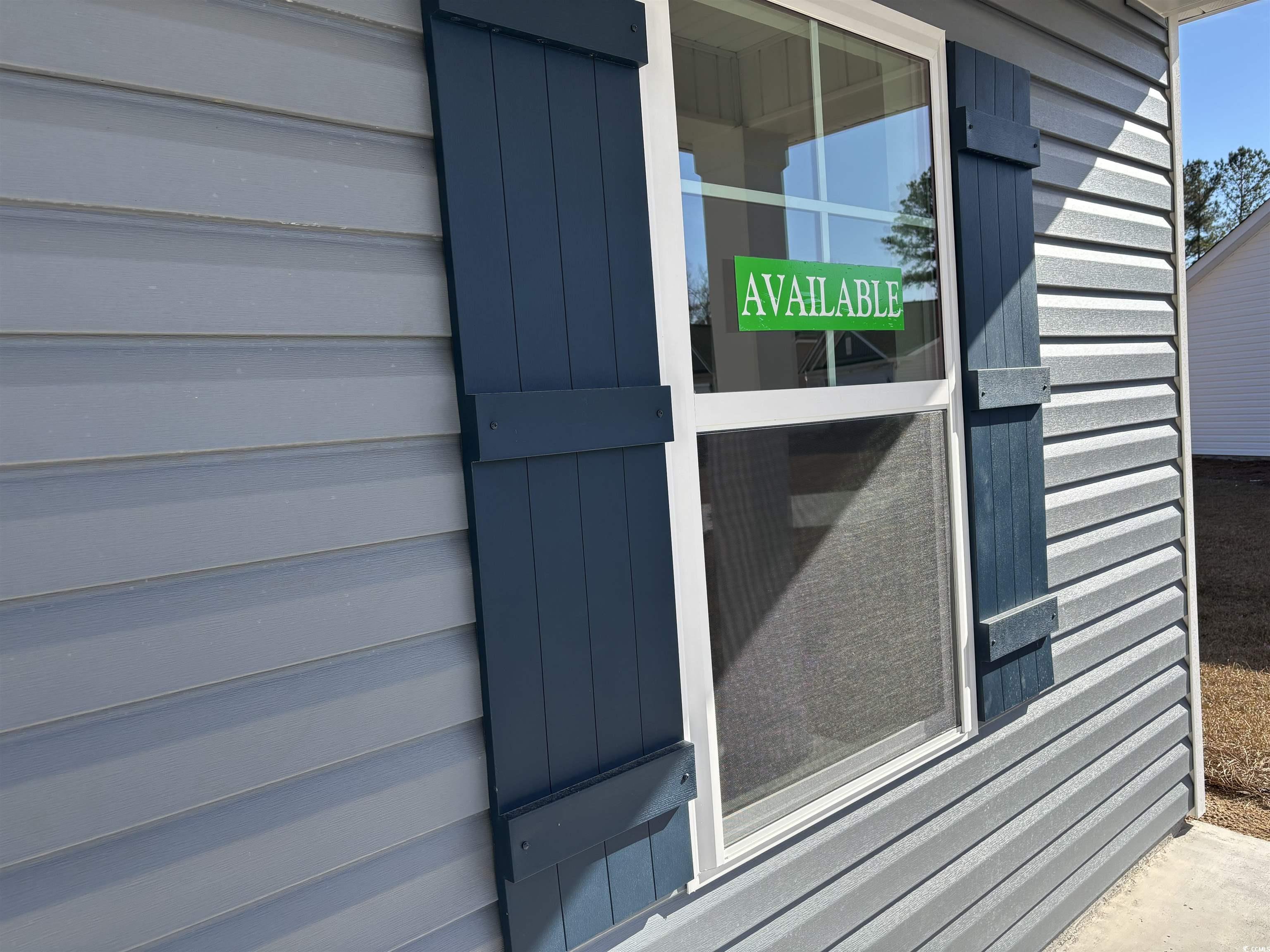 216 Palmetto Sand Loop Conway, SC 29527 - Photo 4 of 38