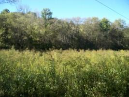 0 Watson Hollow Road Silver Point, TN 38582 - Photo 3 of 5