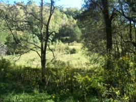 0 Watson Hollow Road Silver Point, TN 38582 - Photo 4 of 5