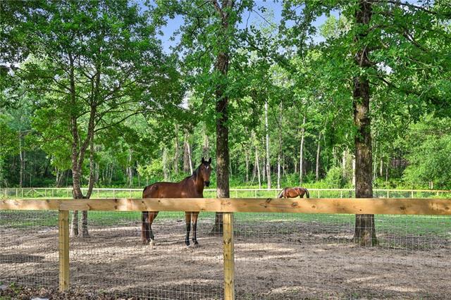 83057 Sheila Road Folsom, LA 70437 - Photo 25 of 34