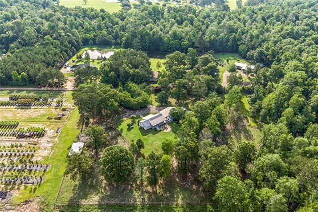 83057 Sheila Road Folsom, LA 70437 - Photo 31 of 34