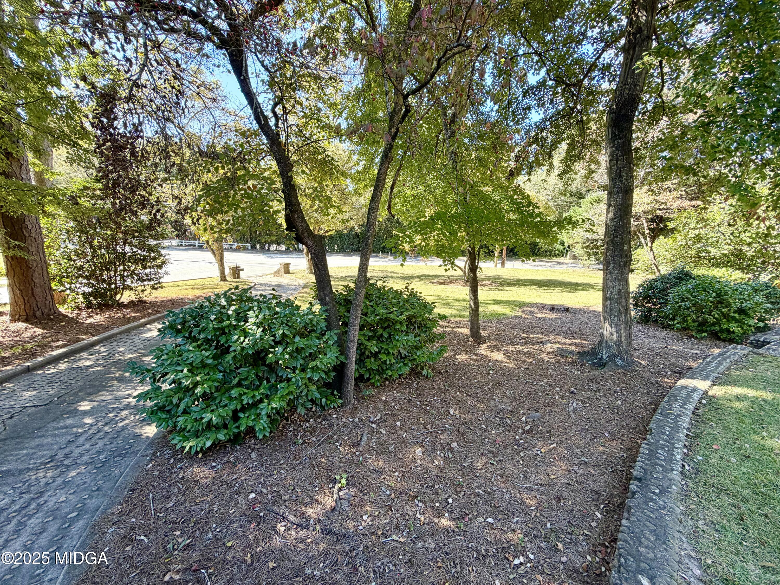 3341 Ridge Avenue Macon, GA 31204 - Photo 41 of 46 a view of a yard with tree s