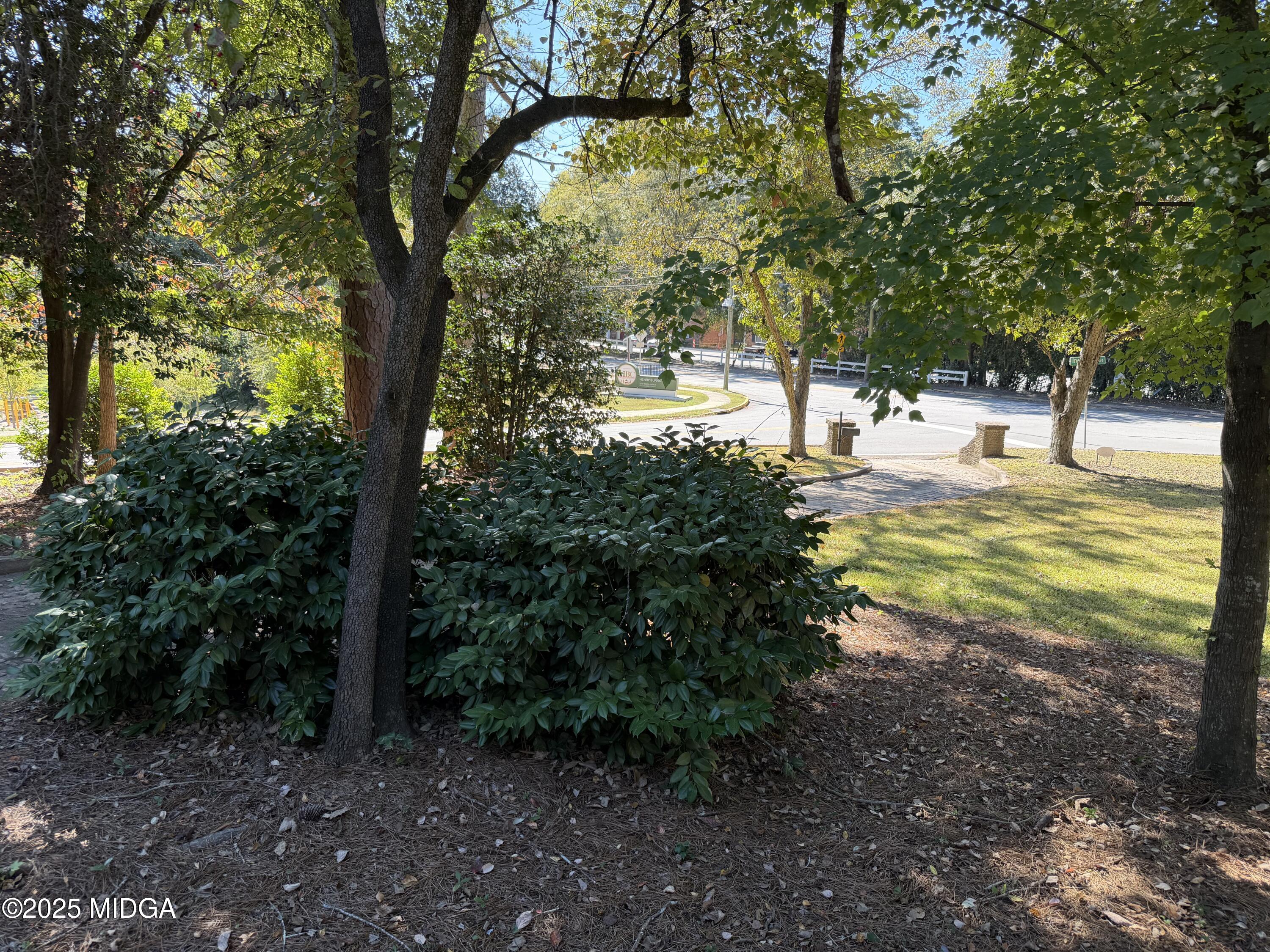 3341 Ridge Avenue Macon, GA 31204 - Photo 44 of 46 a view of a yard with an tree