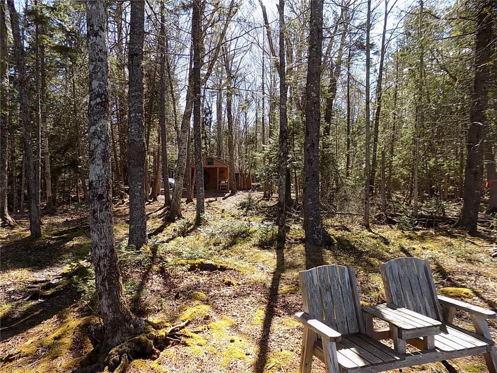 83 N Road Lamoine, ME 04605 - Photo 9 of 18 Looking back to the camp from the...