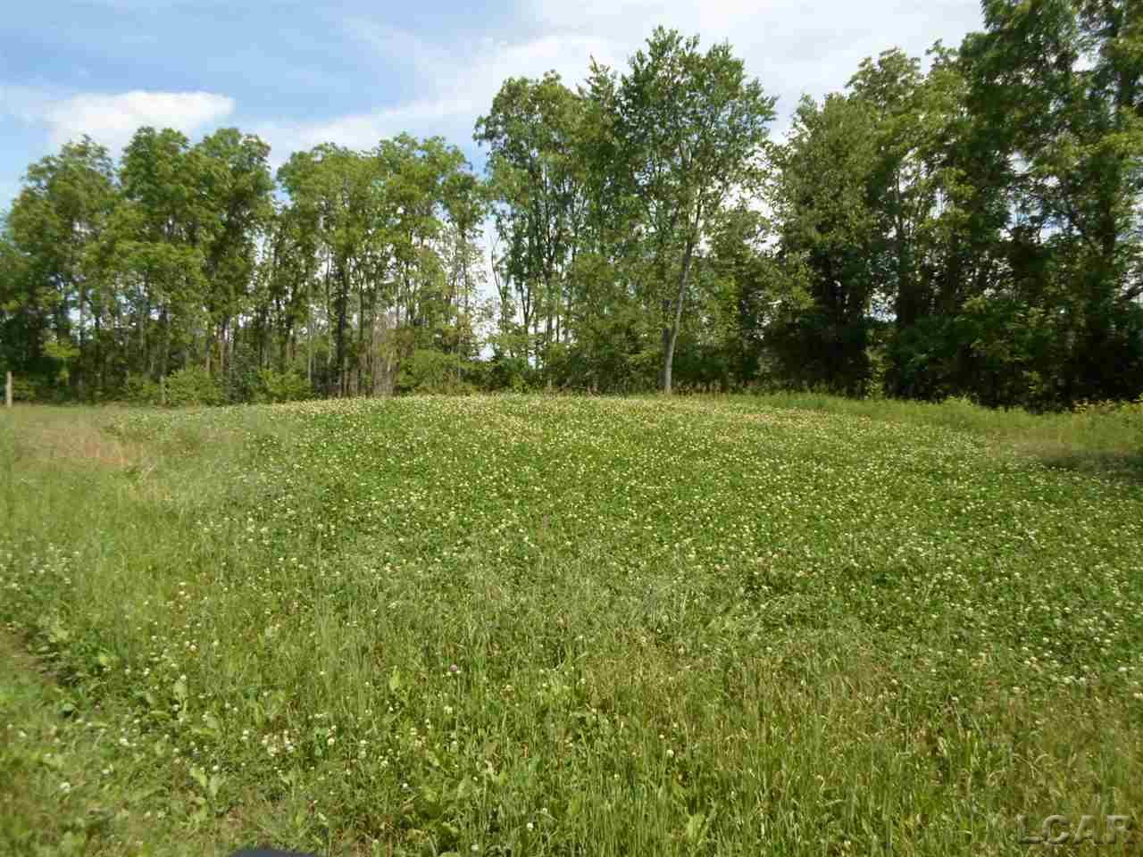 12000 Stephenson Road, Unit PARCEL A Brooklyn, MI 49230 - Photo 35 of 49