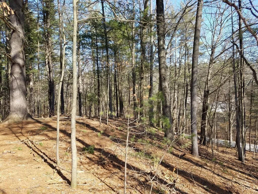 225 Pepperell Road Groton, MA 01450 - Photo 26 of 34 Gallery Image 26