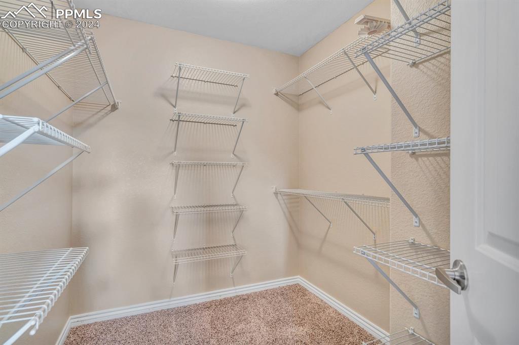 861 Circle Road Palmer Lake, CO 80133 - Photo 16 of 41 a view of walk in closet with empty racks