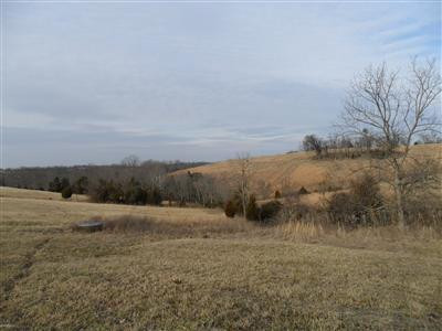 2220 Harris Ferry Road Irvine, KY 40336 - Photo 2 of 8 Photo 2