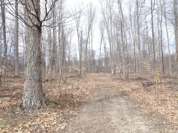 $89,000 | B Chief Road, Bear Lake, MI 49614