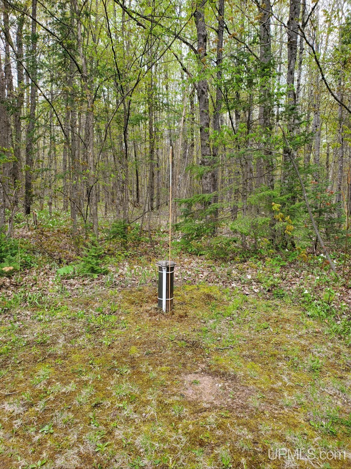 E4381 23 Road Chatham, MI 49816 - Photo 55 of 59
