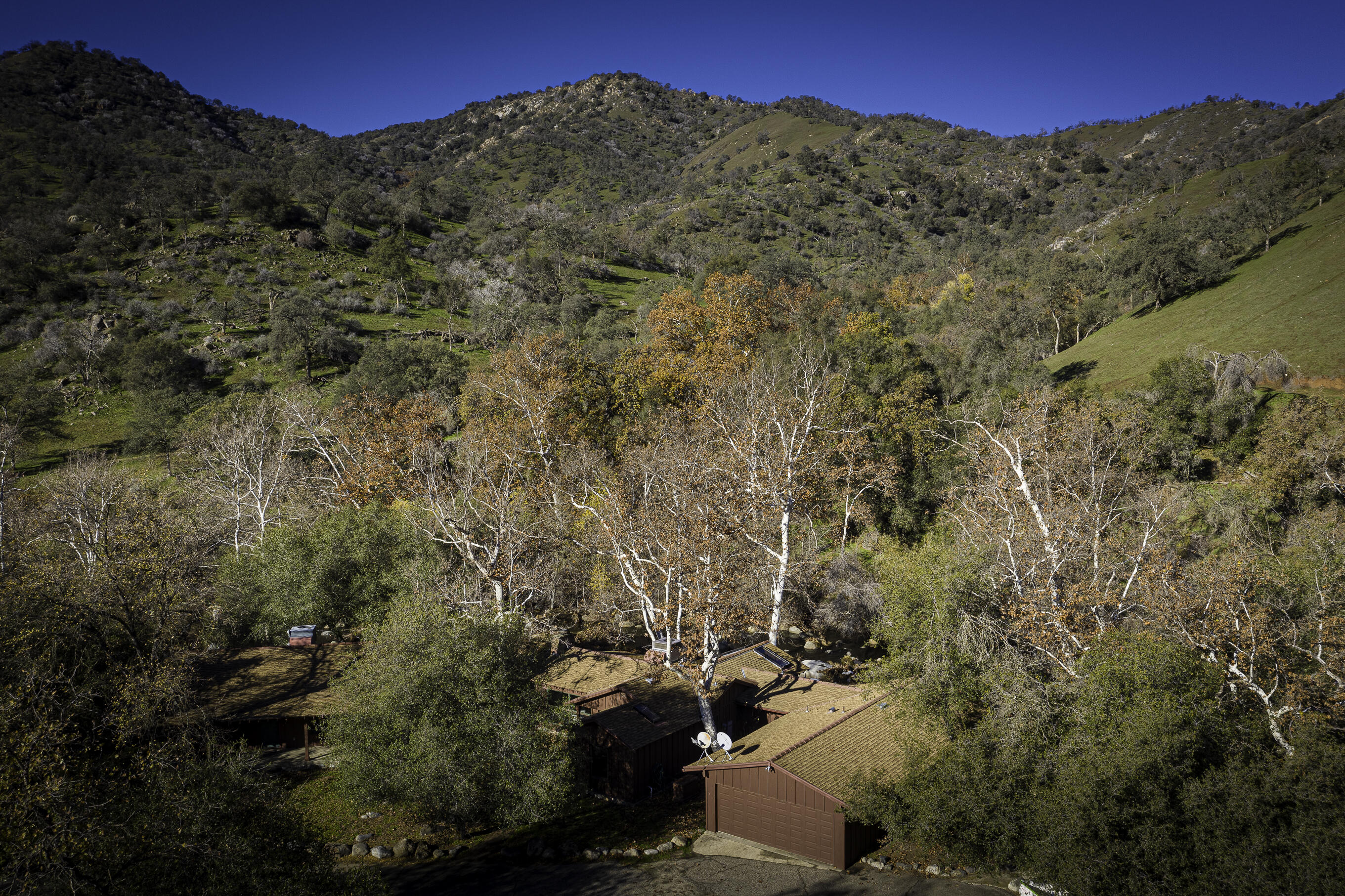 DJI_0487-HDR-1