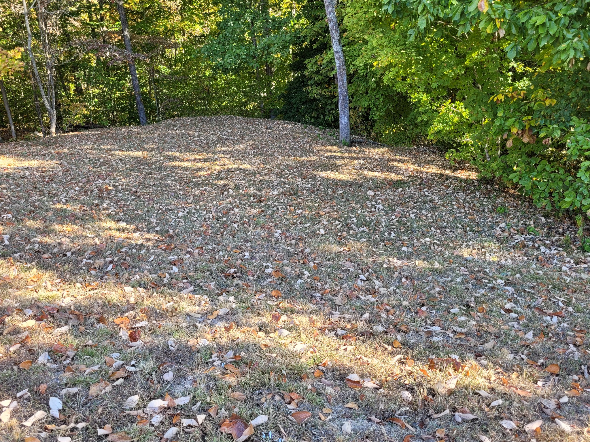 9871 Mt Pleasant Cemetery Road Primm Springs, TN 38476 - Photo 27 of 68 Gallery Image 27