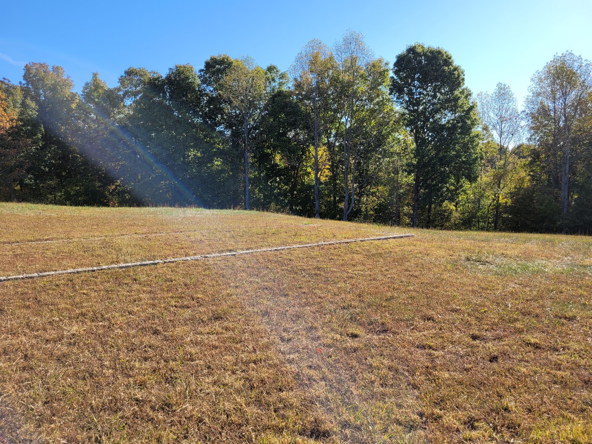 9871 Mt Pleasant Cemetery Road Primm Springs, TN 38476 - Photo 10 of 68 Gallery Image 10