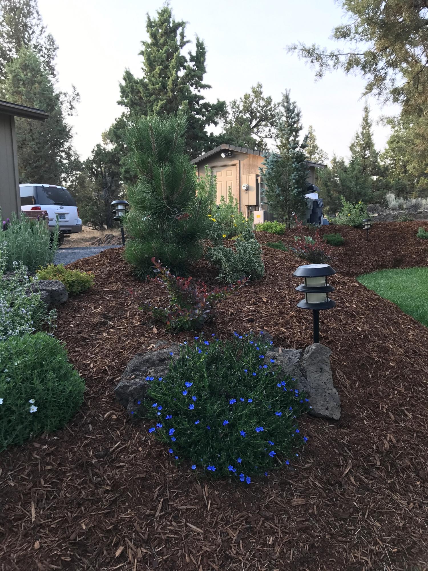 64281 Deschutes Market Road Bend, OR 97701 - Photo 26 of 43 Backyard in Summer