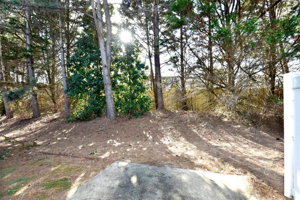493 Windstone Trail Alpharetta, GA 30004 - Photo 21 of 21