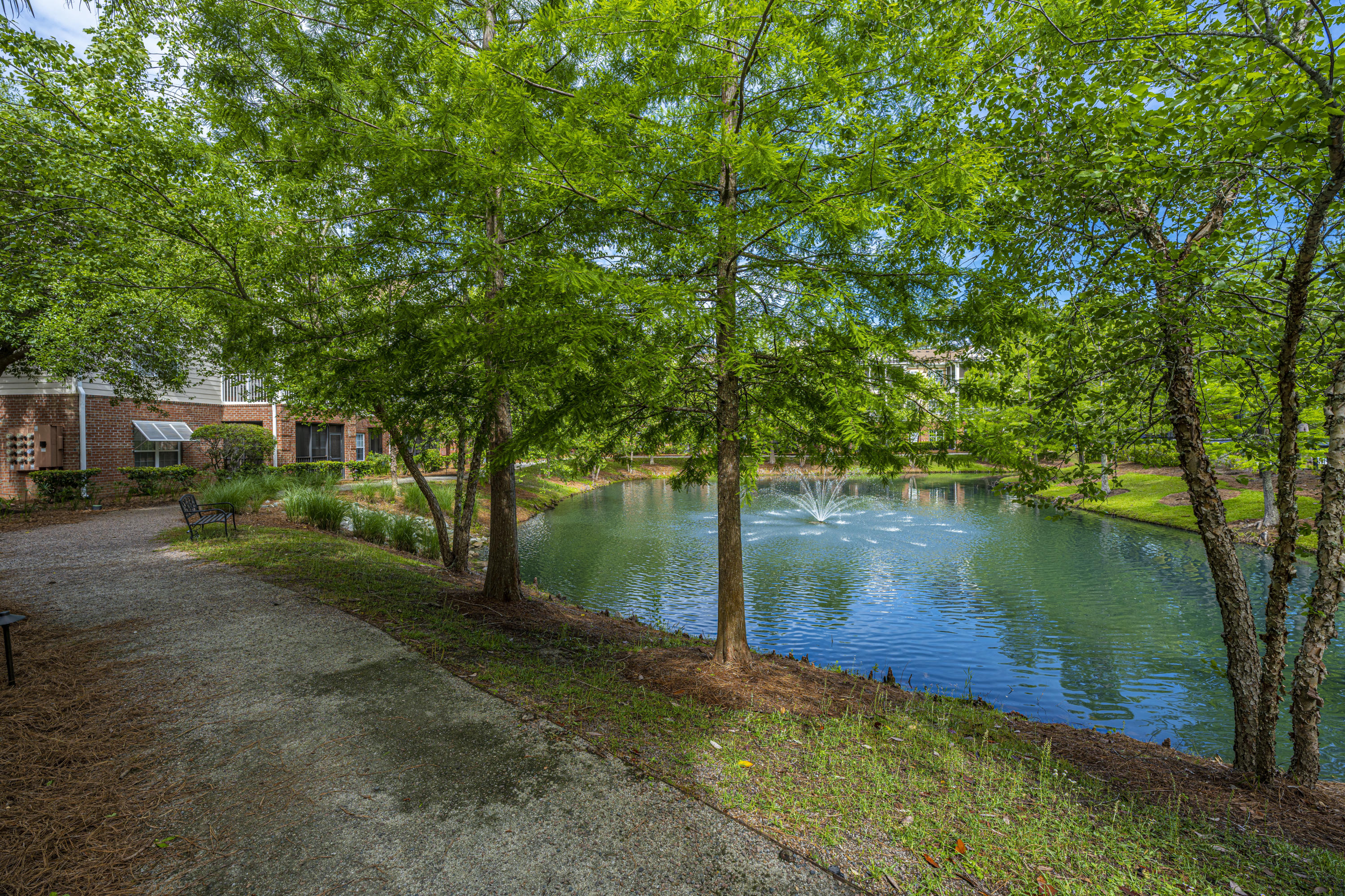 1905 Basildon Road Mount Pleasant, SC 29466 - Photo 28 of 57 DSC_6756