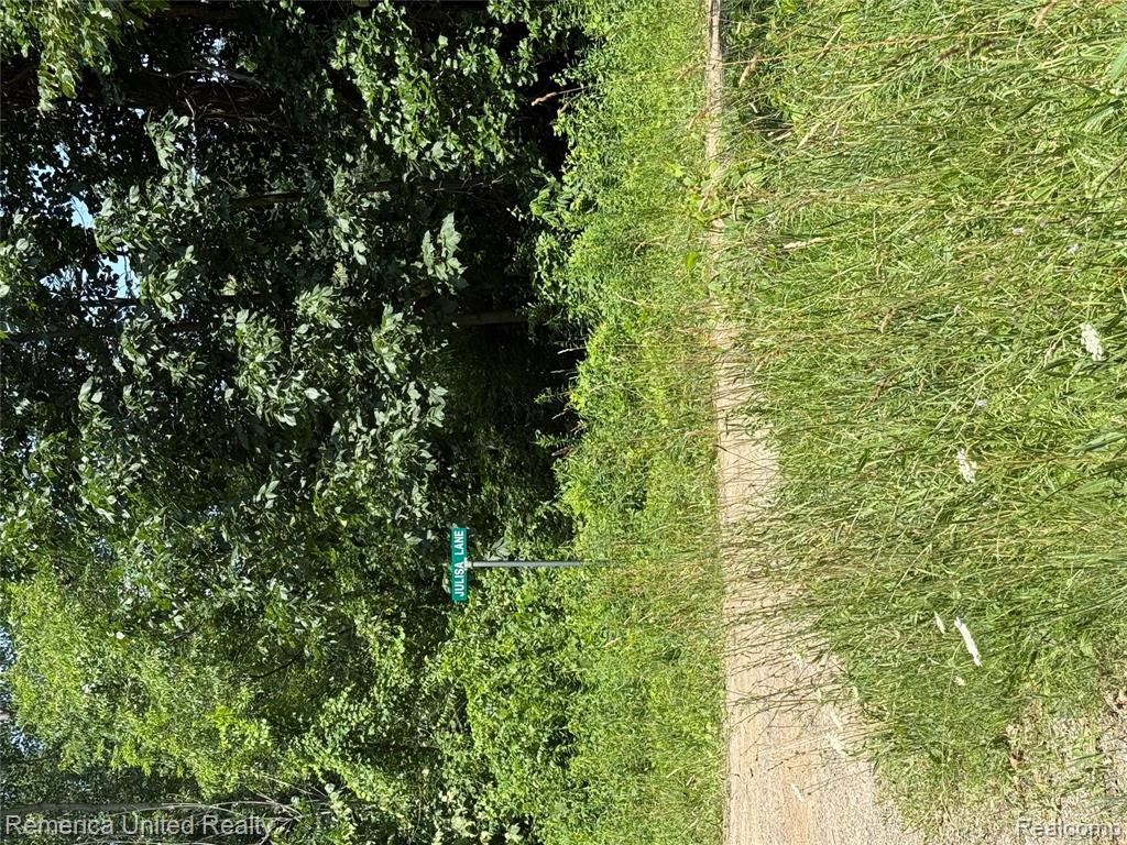 5550 Fisher Road Howell, MI 48855 - Photo 3 of 10