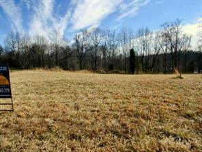 Lot 7 South Gibbs Road Mooresville, NC 28117 - Photo 2 of 2 a view of a yard with trees in the background