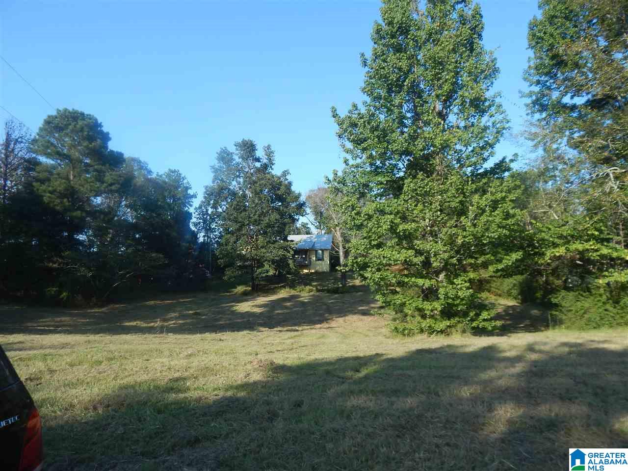 2100 Old Woodstock Road West Blocton, AL 35184 - Photo 3 of 6