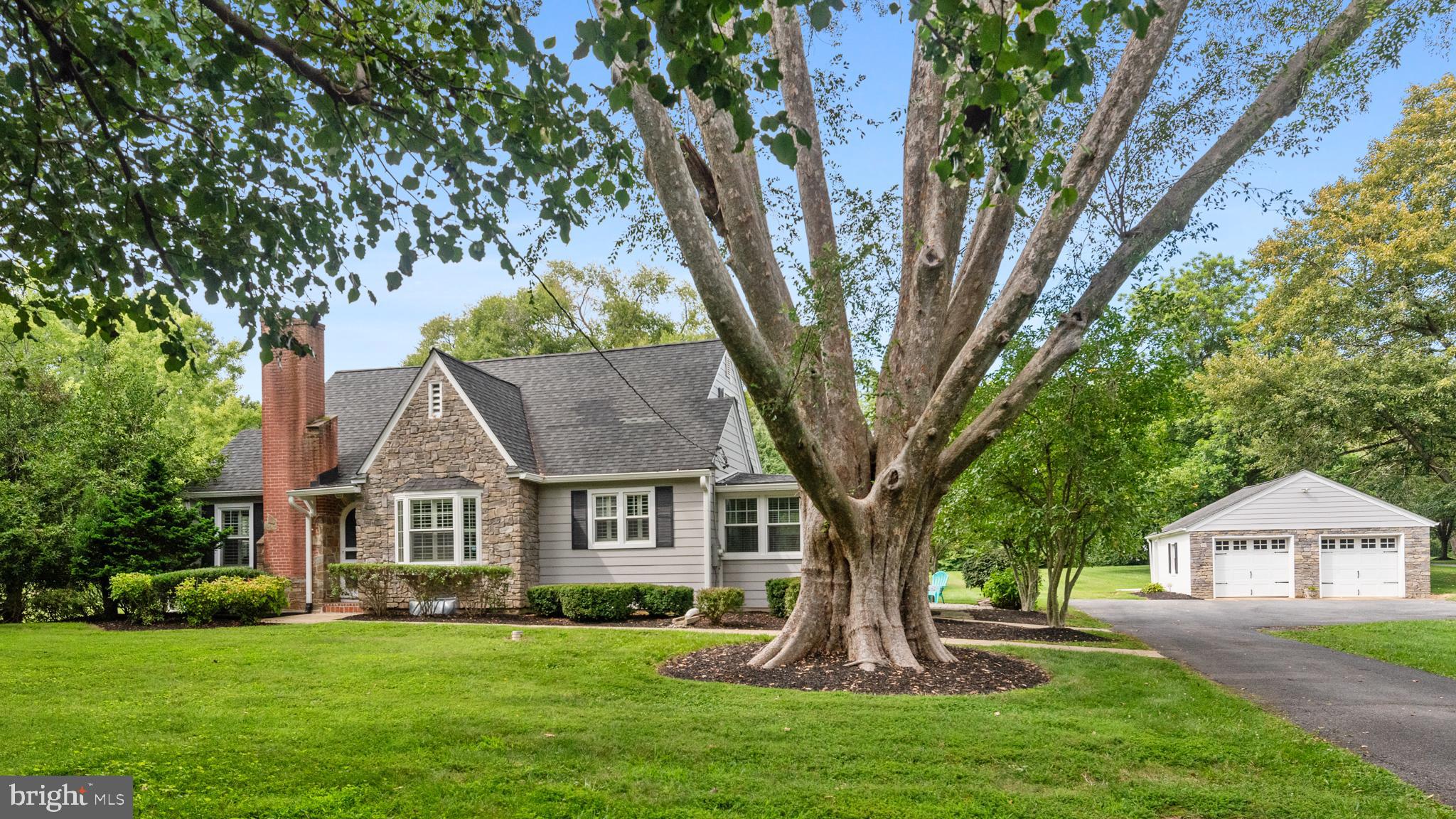 1606 St Margarets Road Annapolis, MD 21409 - Photo 2 of 50 Historically acclaimed tree