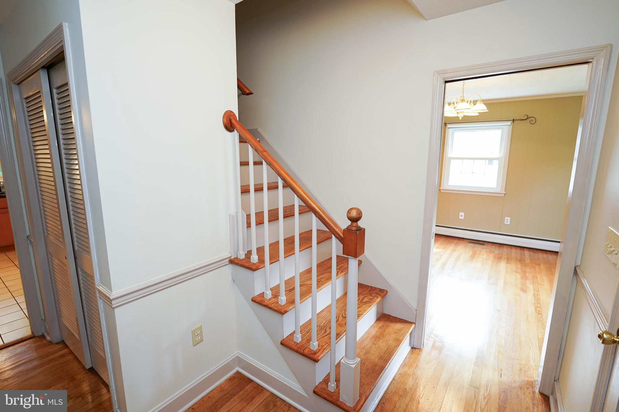 707 Camellia Road Salisbury, MD 21804 - Photo 30 of 68 Gallery Image 30