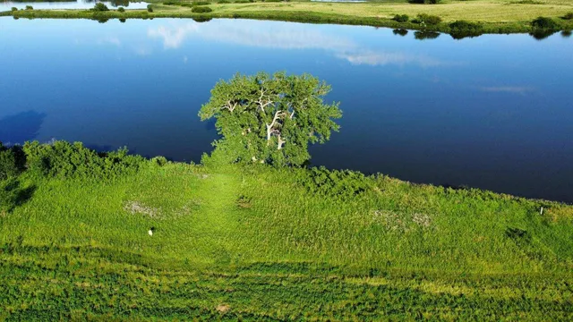 $14,250 | 1020 Spink Lake Avenue, Balaton, MN 56115