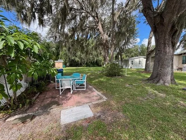 a garden with trees and bench