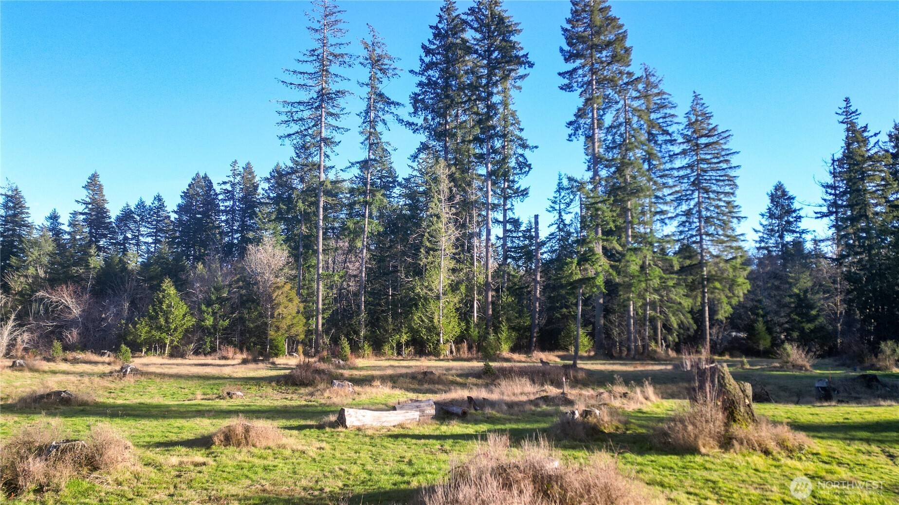 443 Elma Hicklin Road West McCleary, WA 98557 - Photo 10 of 11 Gallery Image 10