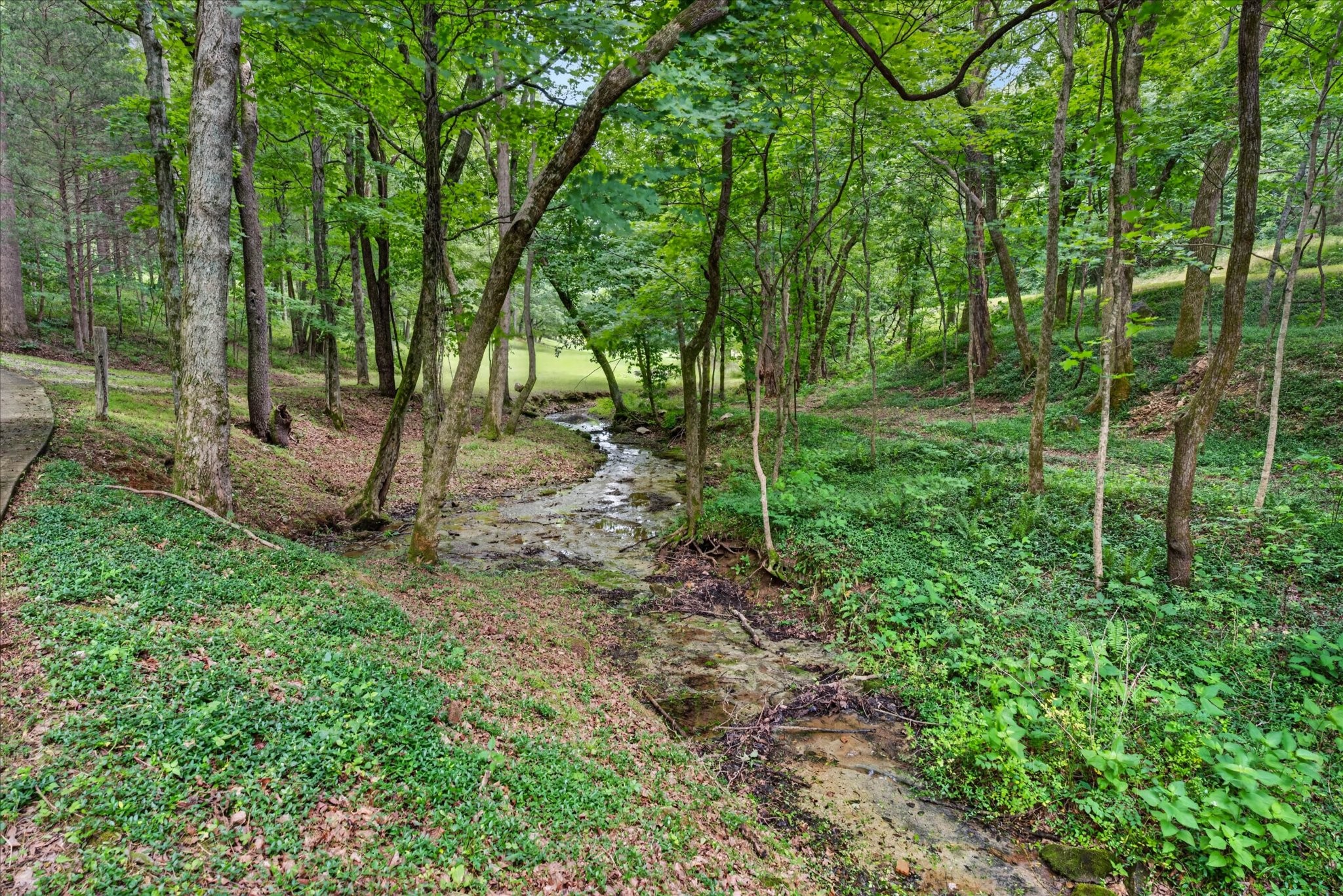 2375 Bearden Road Clarksville, TN 37043 - Photo 64 of 81 Gallery Image 64