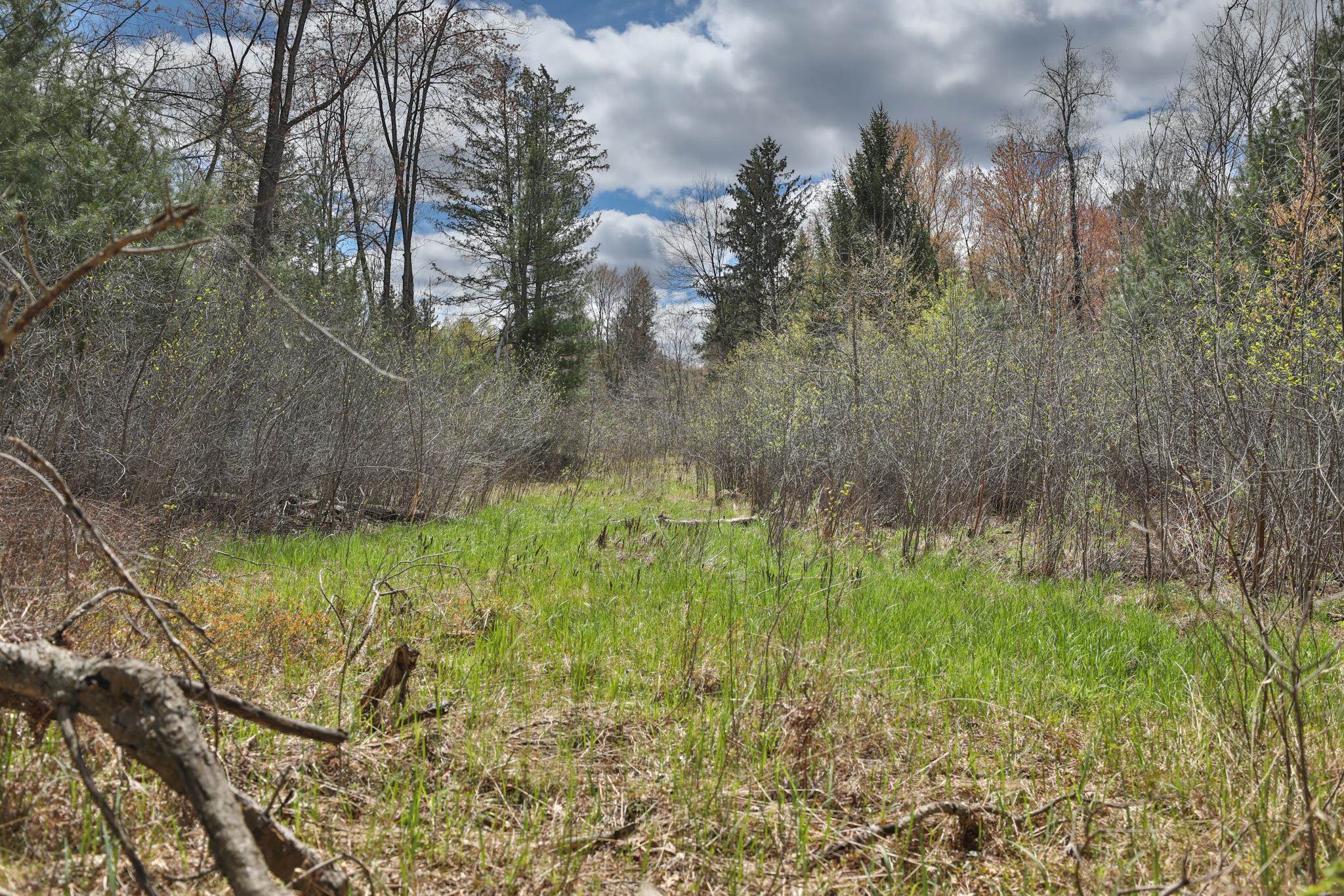 Lot 4 Grayling Tomah, WI 54660 - Photo 36 of 50