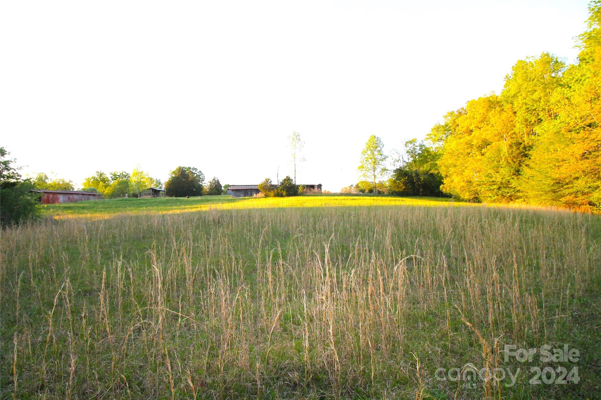 1145 Bess Town Road Bessemer City, NC 28016 - Photo 12 of 15 a view of an outdoor space and a lake view