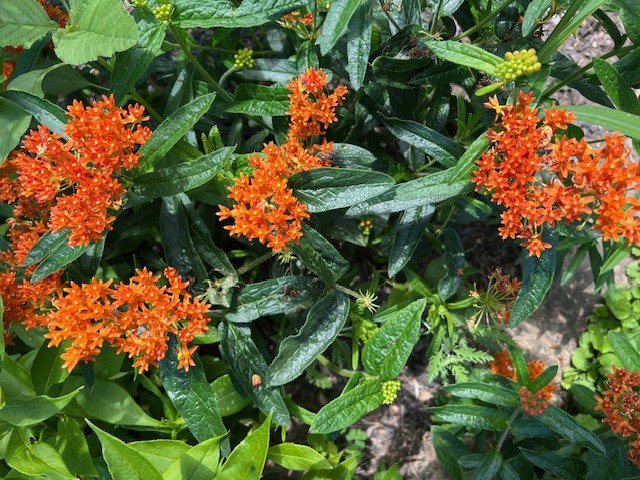 8911 Ramble Road Wonder Lake, IL 60097 - Photo 29 of 36