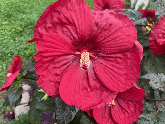 8911 Ramble Road Wonder Lake, IL 60097 - Photo 30 of 36 a view of a small yard