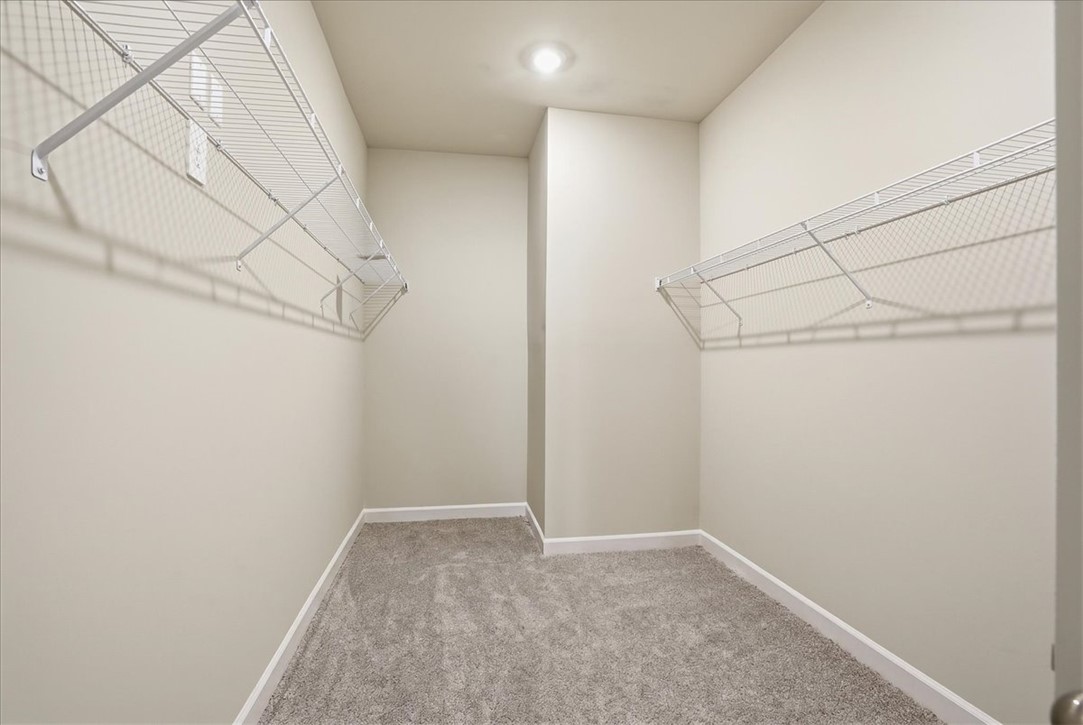 973 Penfold Pointe Point Blythewood, SC 29016 - Photo 21 of 39 This spacious closet offers ample storage with convenient wire shelving and plush carpeting.
