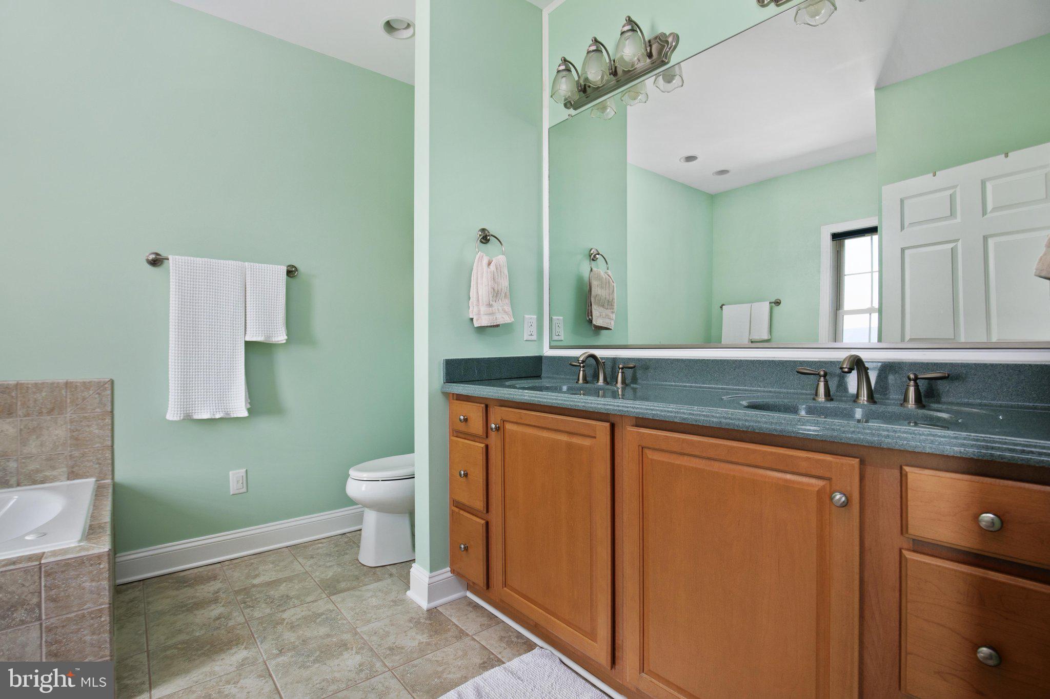 516 Zepp Road Maurertown, VA 22644 - Photo 24 of 63 Primary Bath