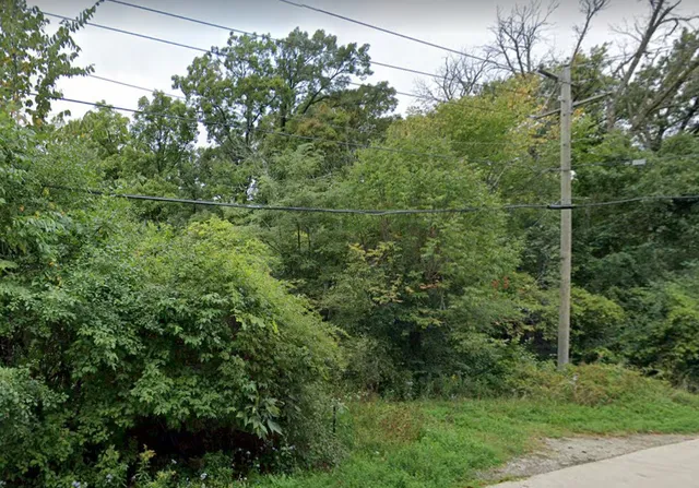 a view of a yard and trees