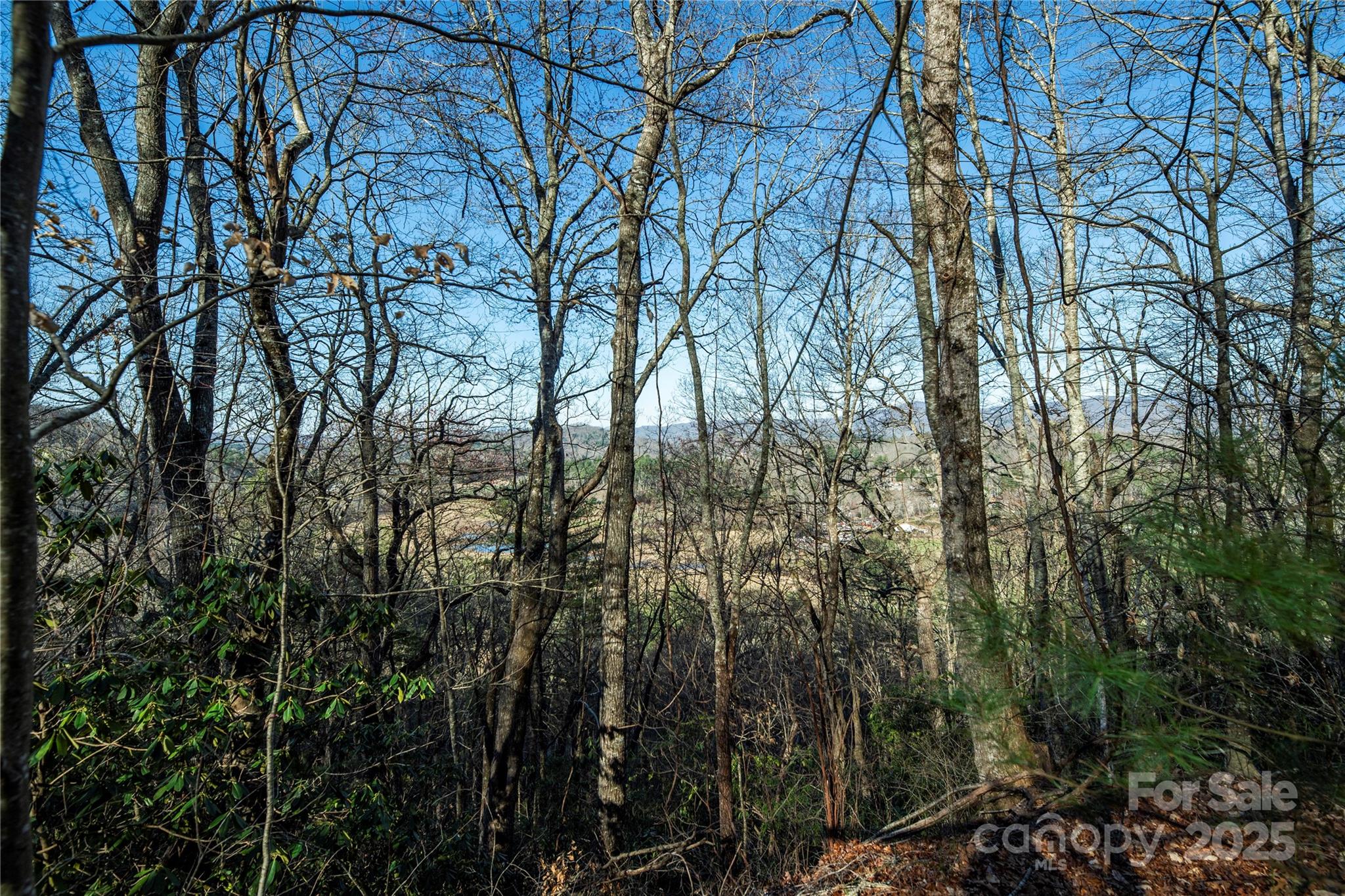 Three Three Mile Knob Road, Unit L1 Pisgah Forest, NC 28768 - Photo 1 of 11 a view of forest